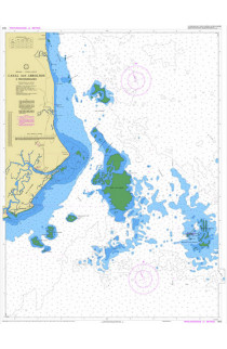 CARTA 1310 - CANAL DOS ABROLHOS E PROXIMIDADES 
