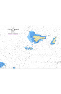 CARTA 25110 (INT 9150) - ANTÁRTICA - ILHA ELEFANTE E PROXIMIDADES