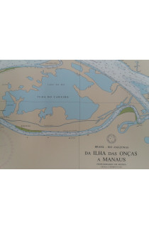 CARTA 4032 - DA ILHA DAS ONÇAS A MANAUS