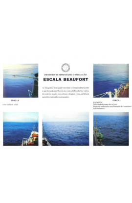 IMPRESSO - ESCALA BEAUFORT