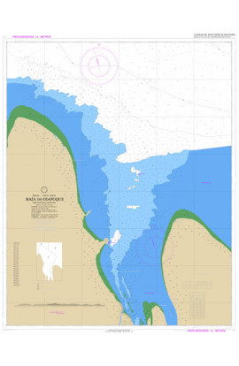 CARTA 110 - BAÍA DO OIAPOQUE
