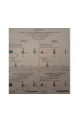 IMPRESSO - SISTEMA DE BALIZAMENTO MARÍTIMO- REGIÃO "B"
